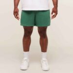 Lifting Mesh Shorts